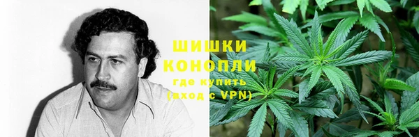 альфа пвп Медвежьегорск