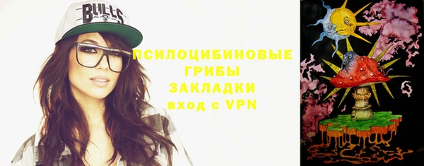 ГАЛЛЮЦИНОГЕННЫЕ ГРИБЫ Апатиты
