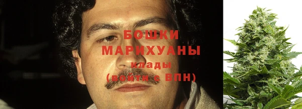 альфа пвп Медвежьегорск