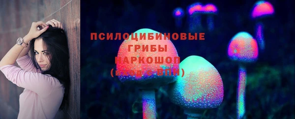 альфа пвп Медвежьегорск