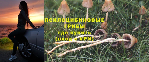 МДПВ Мегион