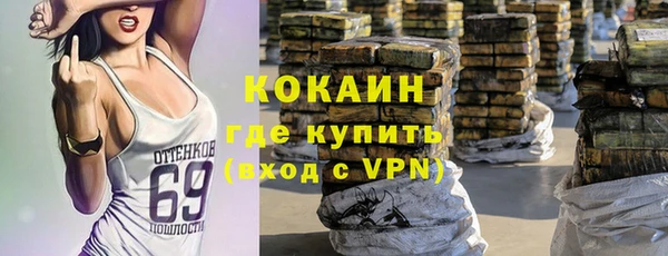 шишки Майский