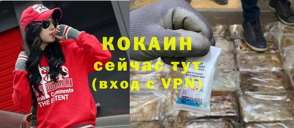 ГАЛЛЮЦИНОГЕННЫЕ ГРИБЫ Апатиты