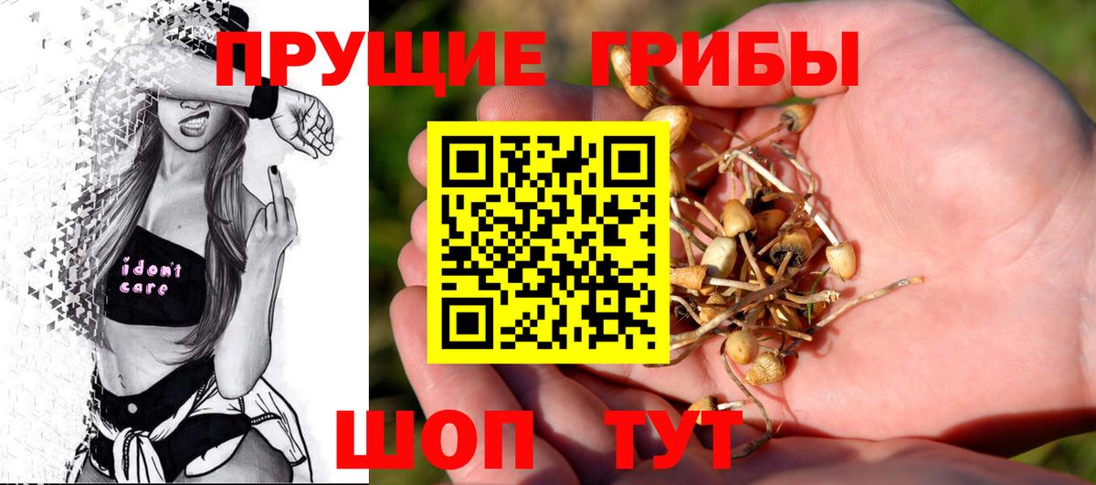 Галлюциногенные грибы Magic Shrooms Сокол