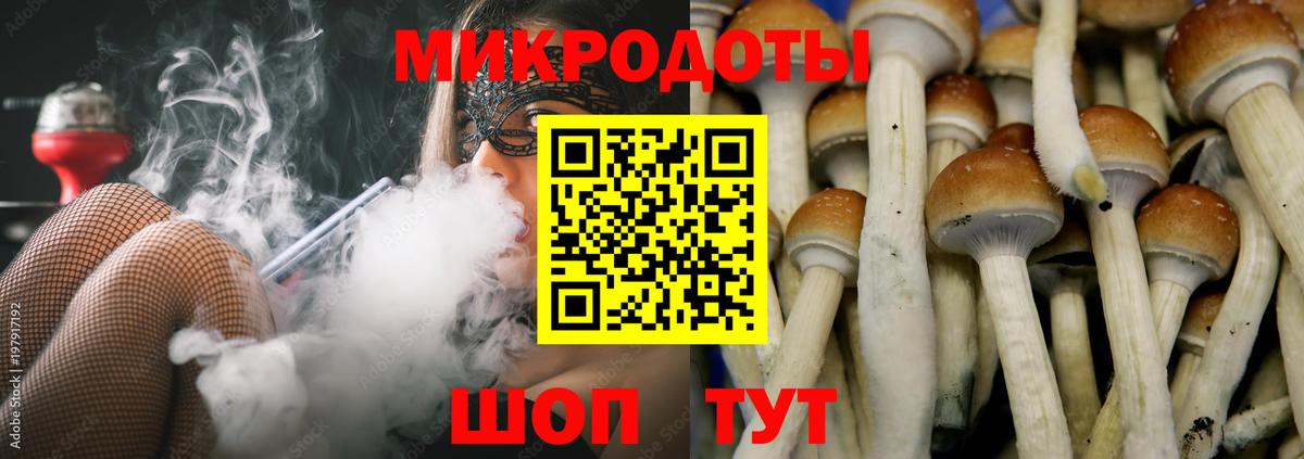 Галлюциногенные грибы GOLDEN TEACHER  Вход с VPN  где купить наркоту  Сокол  Галлюциногенные грибы MAGIC MUSHROOMS 