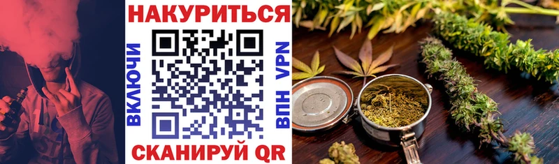 OMG как зайти  Сокол  Бошки Шишки Amnesia 